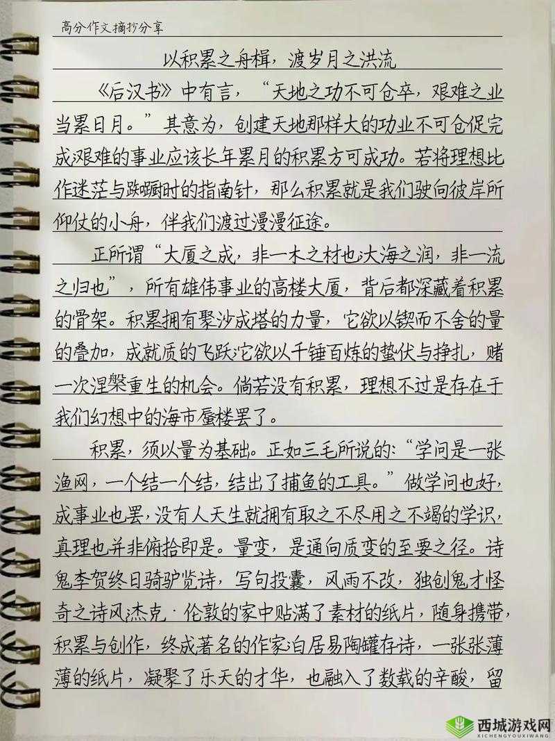 《落水狗杀戮岁月：实战操作指南》